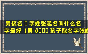 男孩名 ☘ 字姓张起名叫什么名字最好（男 🐎 孩子取名字张姓有哪些好听的名字）